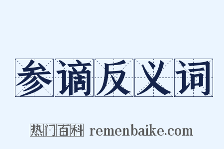 参谪反义词是什么意思的图片